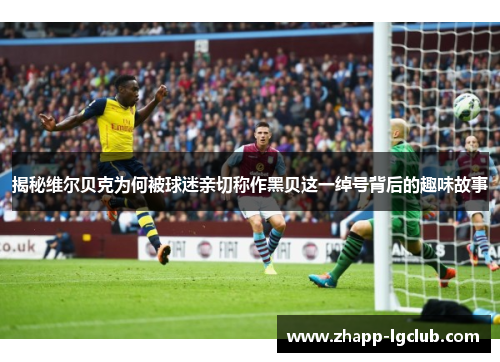 揭秘维尔贝克为何被球迷亲切称作黑贝这一绰号背后的趣味故事