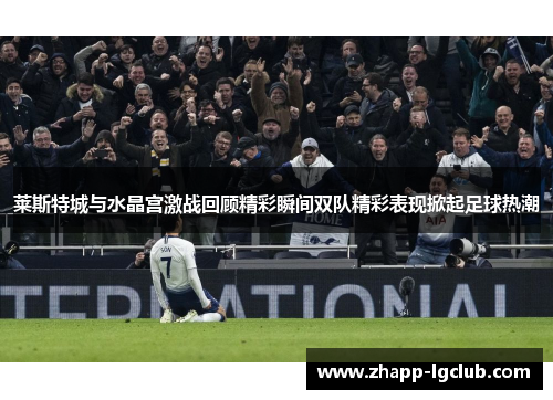 莱斯特城与水晶宫激战回顾精彩瞬间双队精彩表现掀起足球热潮 莱斯特城与水晶宫激战回顾精彩瞬间双队精彩表现掀起足球热潮