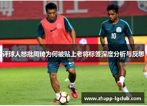 评球人怒批周琦为何被贴上老将标签深度分析与反思