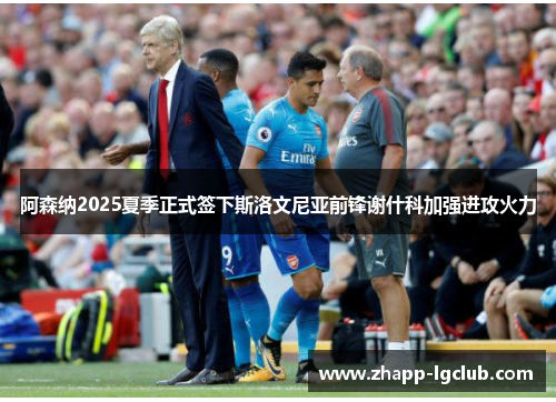 阿森纳2025夏季正式签下斯洛文尼亚前锋谢什科加强进攻火力 阿森纳2025夏季正式签下斯洛文尼亚前锋谢什科加强进攻火力