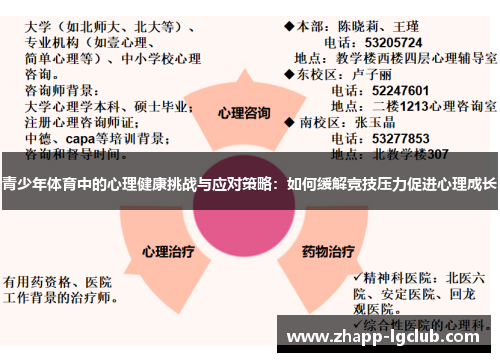 青少年体育中的心理健康挑战与应对策略:如何缓解竞技压力促进心理成长 青少年体育中的心理健康挑战与应对策略:如何缓解竞技压力促进心理成长